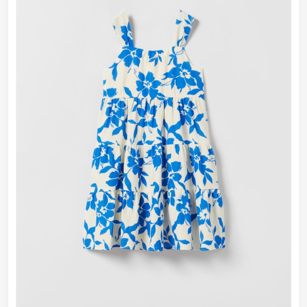 NWOT Zara Kids Pleated Floral Dress